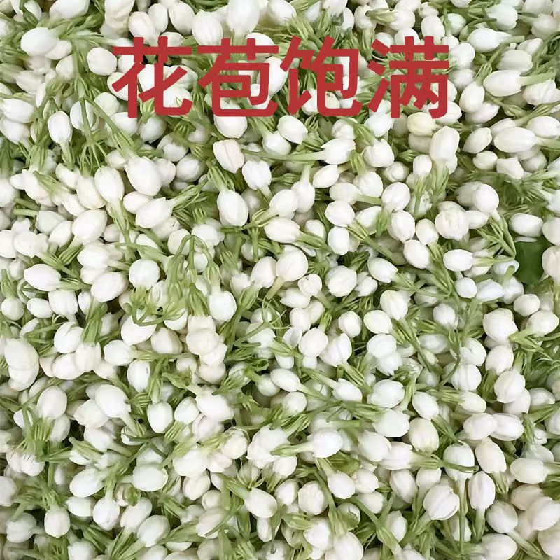 New Natural 100g Jasmine Dried - Soap Making Raw Material review and price